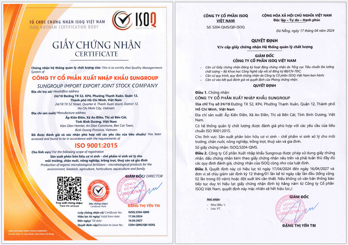 Chứng nhận ISO