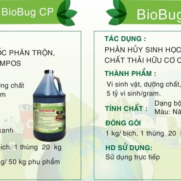Chế phẩm vi sinh khử mùi rác thải