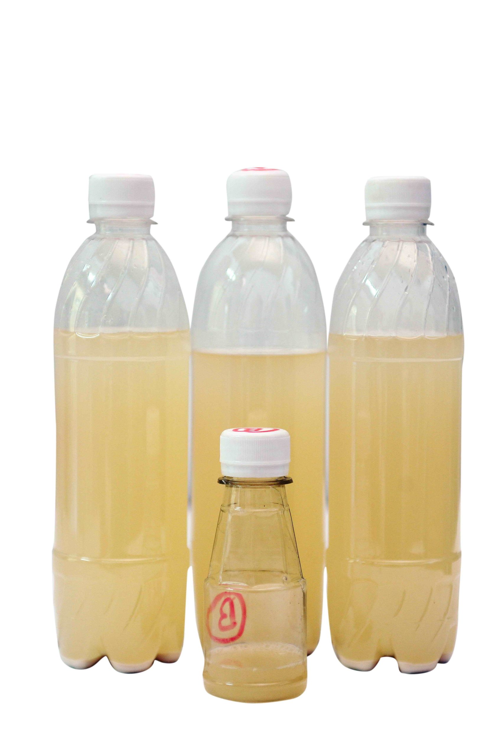 Chế phẩm vi sinh phân huỷ rác thải sinh hoạt