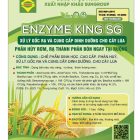 Chế phẩm vi sinh xử lý gốc rạ Enzyme King