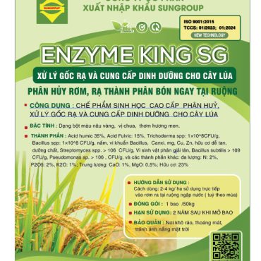 Chế phẩm vi sinh xử lý gốc rạ Enzyme King