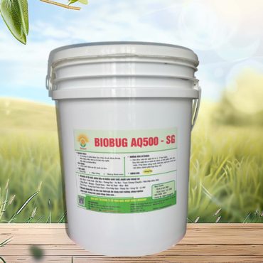 BIOBUG AQ500 – XỬ LÝ NƯỚC THẢI AO HỒ NUÔI CÁ TÔM