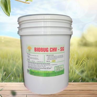 L2100 – L2100CHV – CHẾ PHẨM SINH HỌC KHỬ MÙI – VI SINH KHỬ MÙI – BIOBUG – BIO SYSTEM