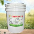 SẢN PHẨM BIOBUG - BIOSYSTEM
