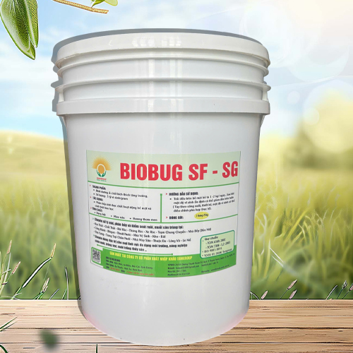 SẢN PHẨM BIOBUG - BIOSYSTEM