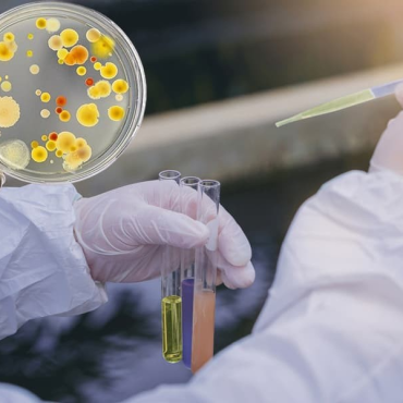 BioBug CO Phân hủy sinh học chất thải hữu cơ clo hóa