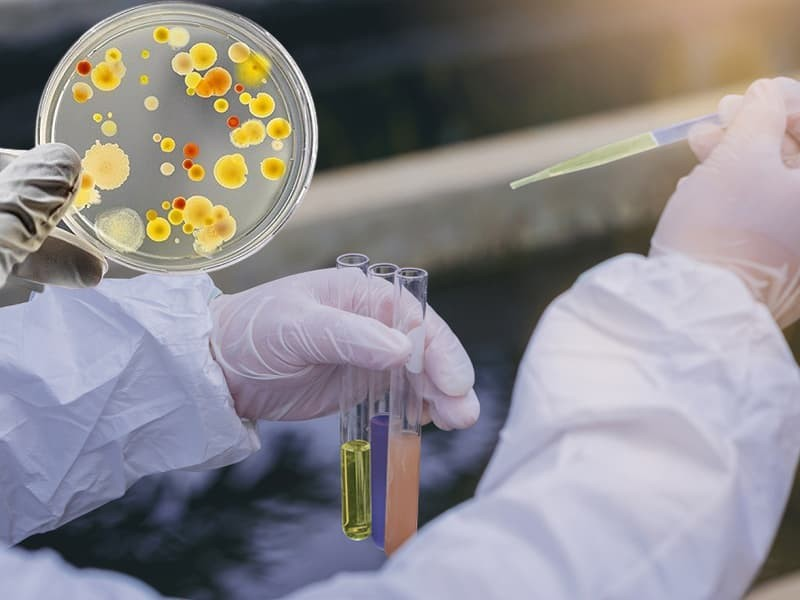 BioBug CO Phân hủy sinh học chất thải hữu cơ clo hóa