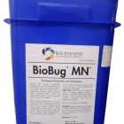 Biobug MN