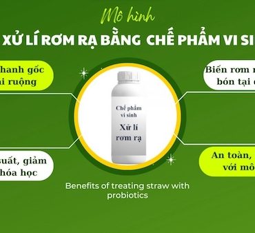 Chế phẩm vi sinh