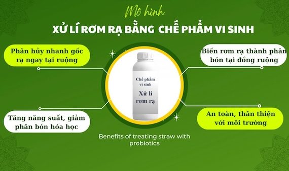 Chế phẩm vi sinh