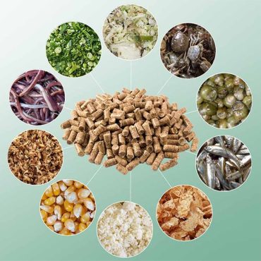 Thức ăn hỗn hợp đặc biệt