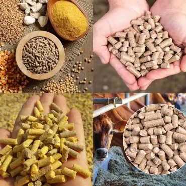 Thức ăn hỗn hợp