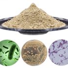 Chế phẩm vi sinh Probiotics