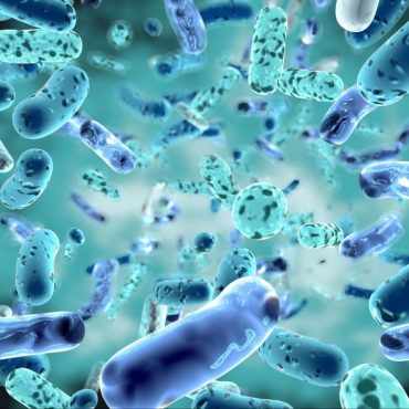Probiotics enzyme