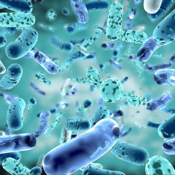 Probiotics enzyme