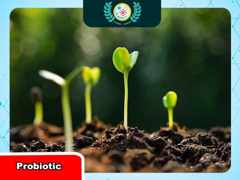 Vai trò của chế phẩm vi sinh trong trồng trọt và chăn nuôi