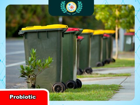 Vai trò của cộng đồng trong việc giảm thiểu rác thải đô thị