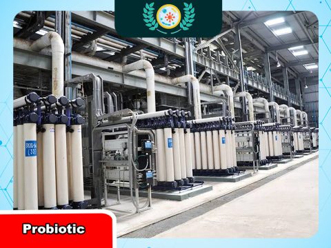 Màng loc RO giúp nâng cao chất lượng nước cấp như thế nào?
