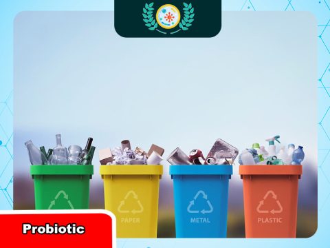 Hướng dẫn phân loại rác thải sinh hoạt đúng cách tại nhà