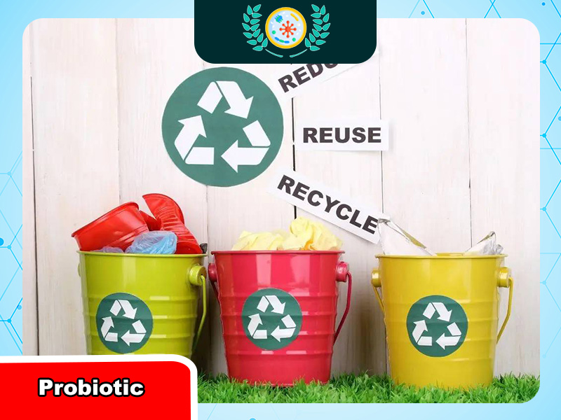 Hướng dẫn tái chế rác thải sinh hoạt tại nhà hiệu quả và đơn giản ...