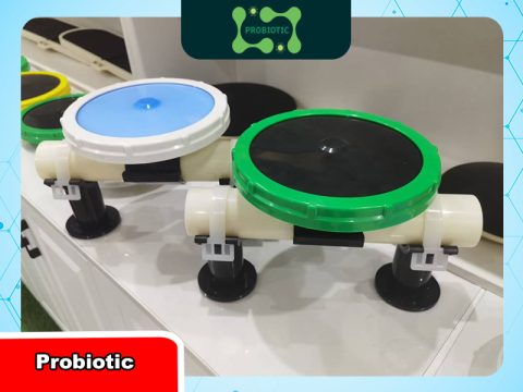 Đĩa phân phối khí xử lý nước thải là gì? Nguyên lý và ứng dụng thực tế