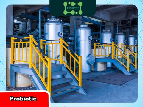 Hệ thống UV xử lý nước cấp: Giải pháp an toàn cho công nghiệp và dân dụng