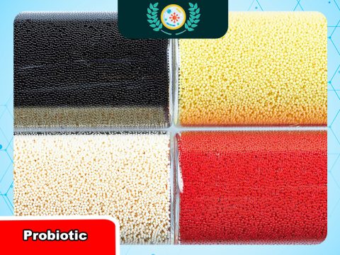 Tuổi thọ hạt nhựa trao đổi ion: Yếu tố ảnh hưởng và cách kéo dài