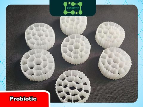 Giá thể MBBR là gì? Cấu tạo, nguyên lý và ứng dụng trong xử lý nước thải