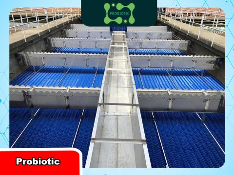 Tấm lắng Lamen – Giải pháp tăng hiệu quả xử lý nước thải hiện đại