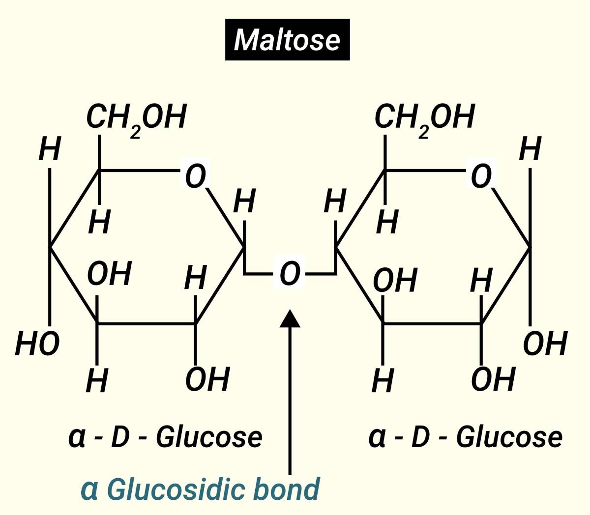 Công thức hóa học chung của Maltodextrin