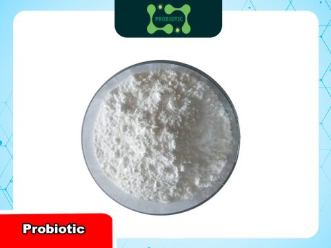 Men enzyme Alcalase: Thành phần, đặc tính và lợi ích nổi bật