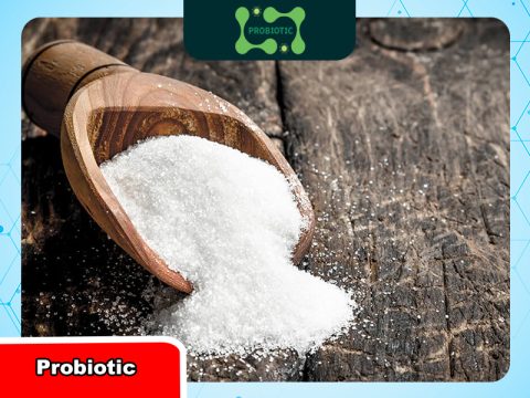 Ứng dụng của Maltodextrin trong ngành thực phẩm: Vai trò và tiêu chuẩn chất lượng